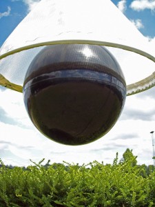 323510_3_aee9.jpg