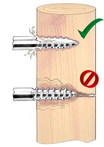 9622_Illustration__443269_204_e630.jpg